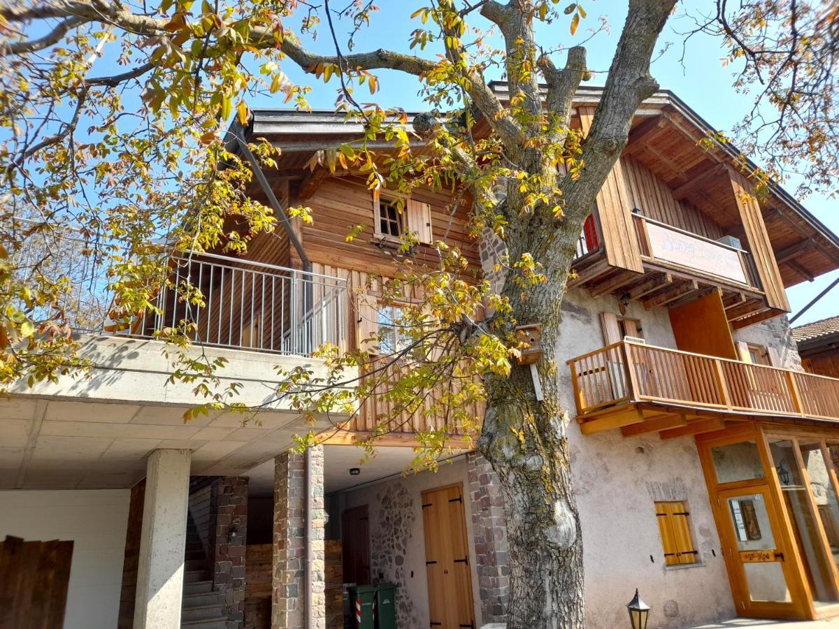 B&B Chalet Dolomiti Sant'Orsola Eksteriør bilde